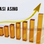 Vanpros.org: Investasi Asing di Indonesia: Peluang, Tantangan, dan Prospek Masa Depan