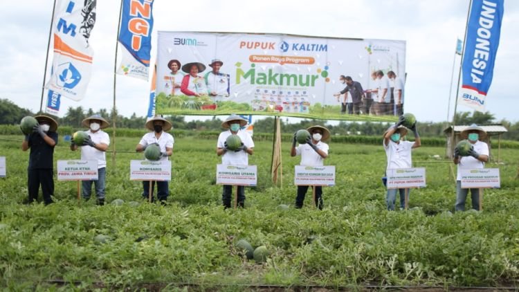 Vanpros.org – Petani Milenial: Membangun Pertanian Berkelanjutan dengan Inovasi dan Teknologi